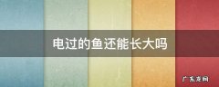 电过的鱼还能长大吗 电过的鱼还会繁殖吗