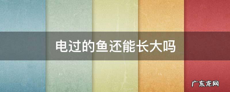 电过的鱼还能长大吗 电过的鱼还会繁殖吗