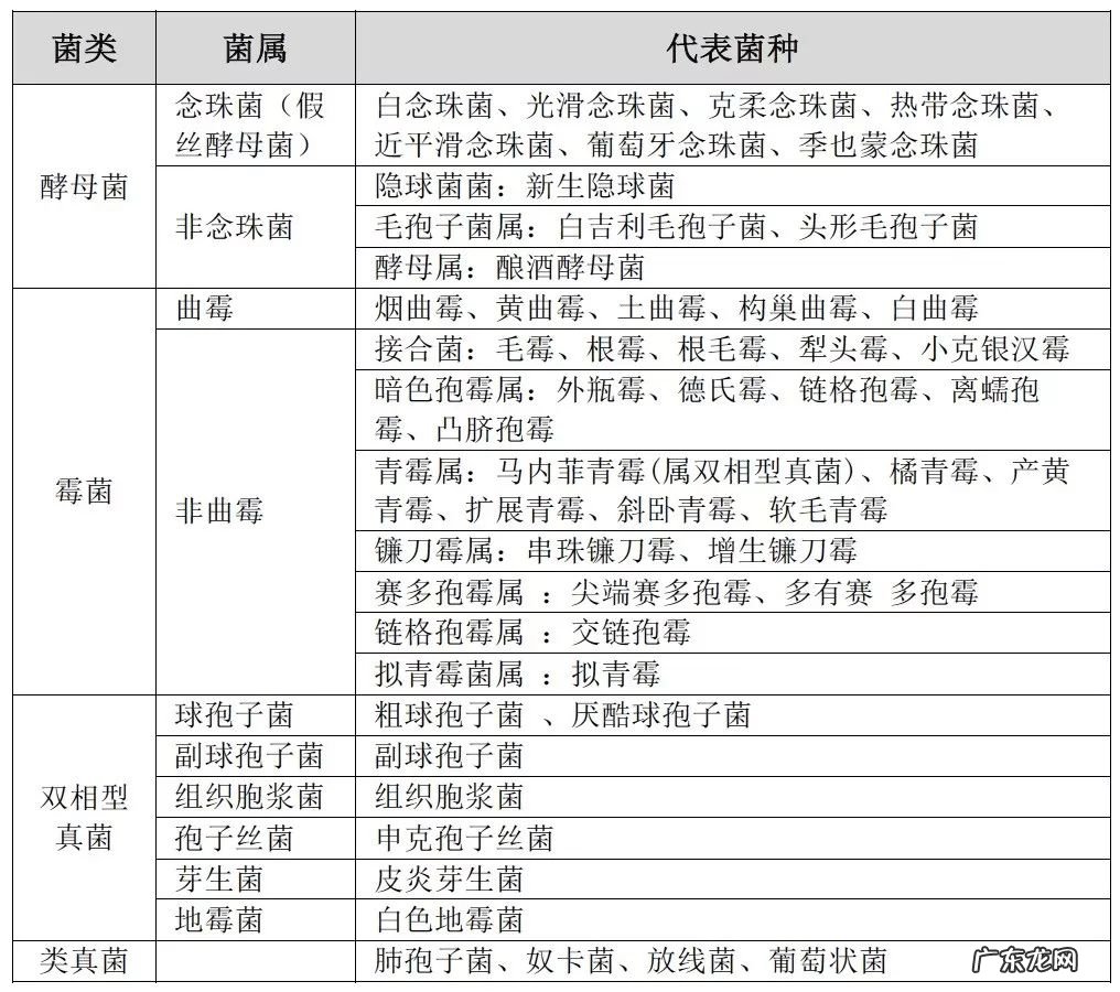痰中培养存在真菌孢子没有菌丝需要使用抗真菌吗？