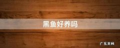 黑鱼好养吗 野生黑鱼好养吗