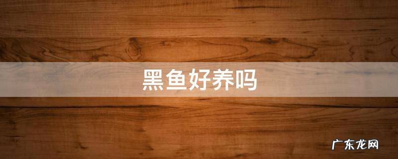 黑鱼好养吗 野生黑鱼好养吗