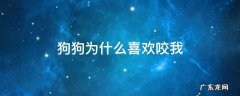 狗狗为什么喜欢咬我 狗狗为什么喜欢咬我裤子或鞋子