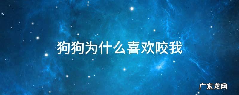 狗狗为什么喜欢咬我 狗狗为什么喜欢咬我裤子或鞋子