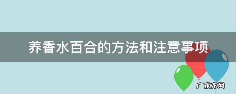 香水百合养殖方法和注意事项有哪些 养香水百合的方法和注意事项
