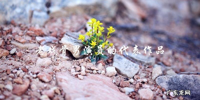 老戏骨男演员大全 名单