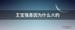 王宝强是因为什么火的 王宝强是谁带火的