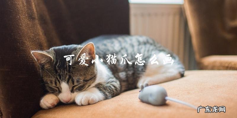 如何画出可爱的小猫爪？