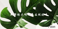 如何做出口感鲜美的大明虾？教你一招！