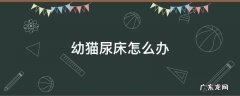 幼猫尿床怎么办? 幼猫尿床怎么办