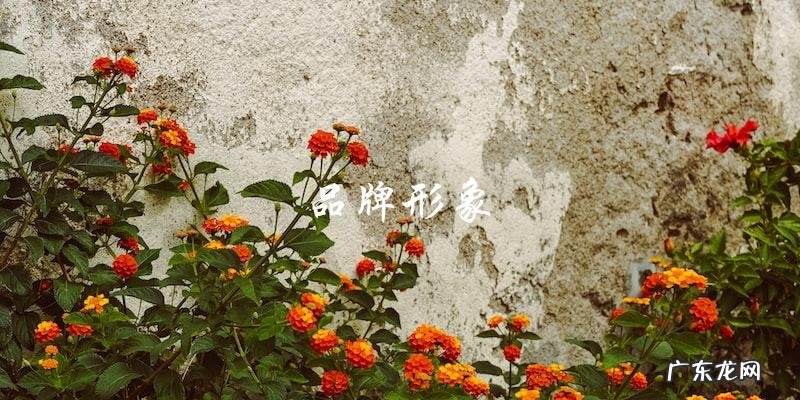 周大生:到底是高档还是低端品牌?