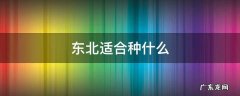 东北适合种什么蔬菜 东北适合种什么