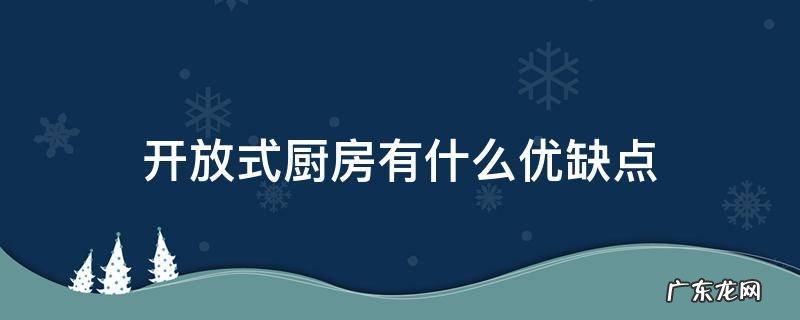 开放式厨房有什么优缺点 开放式厨房的利和弊