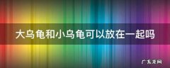 大乌龟和小乌龟可以放在一起吗 不宜养龟的4个属相