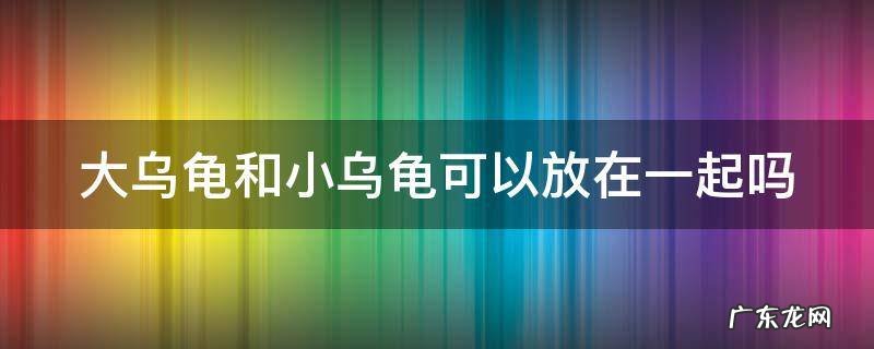大乌龟和小乌龟可以放在一起吗 不宜养龟的4个属相
