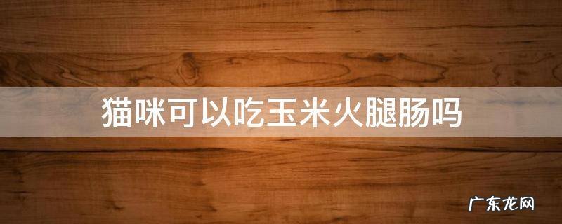 猫咪可以吃玉米火腿肠吗 猫能吃玉米火腿吗