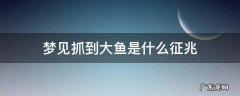 梦见抓到大鱼是什么征兆 梦见抓到大鱼是什么征兆周公解梦