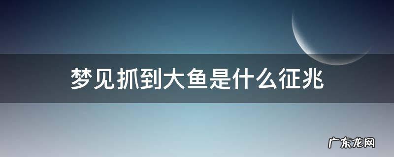 梦见抓到大鱼是什么征兆 梦见抓到大鱼是什么征兆周公解梦