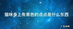 猫猫身上有黑色一点点 猫咪身上有黑色的点点是什么东西