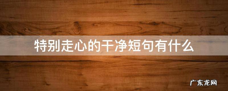 非常走心的干净短句 特别走心的干净短句有什么