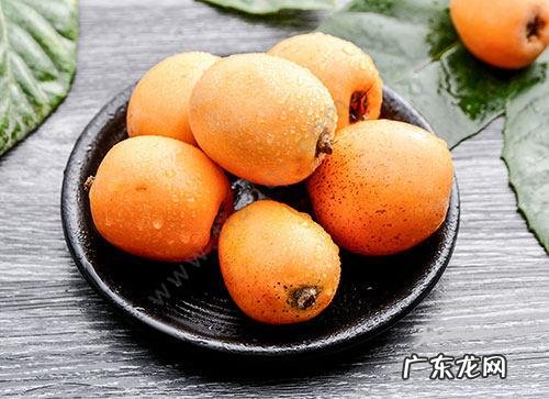 枇杷怎么保存合适