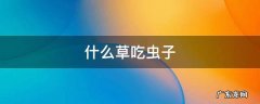 什么草吃虫子 什么草吃虫子最快