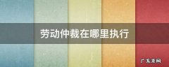 劳动仲裁在哪里执行 劳动仲裁在哪里进行