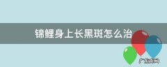 锦鲤鱼身上长黑色斑是怎么办 锦鲤身上长黑斑怎么治