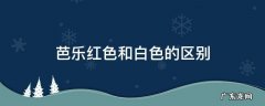 白色芭乐和红色芭乐 芭乐红色和白色的区别