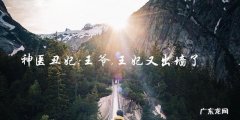 神医丑妃：王爷，王妃出墙，他该如何应对？