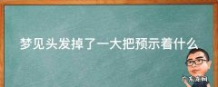 梦见头发掉了一大把预示着什么 白天梦见头发掉了一大把预示着什么