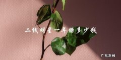 二线明星一年的收入到底有多少？