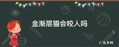 金渐层猫会咬人吗 金渐层猫黏人吗