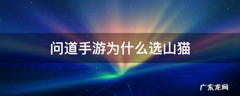 问道手游为什么带山猫 问道手游为什么选山猫