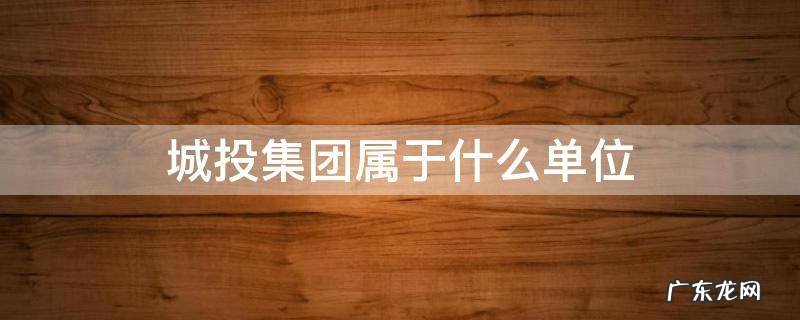 寿光城投集团属于什么单位 城投集团属于什么单位