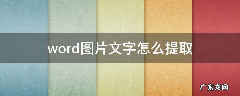 Word图片怎么提取文字 word图片文字怎么提取