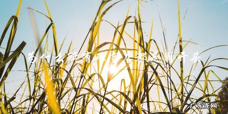 为什么所有珠宝店都选择周开头?难道有什么神秘的原因吗?