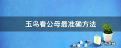 玉鸟看公母最简单方法 玉鸟看公母最准确方法