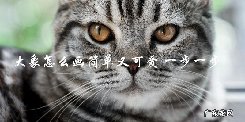 怎样一步一步画出简单又可爱的大象?