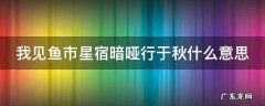 我见鱼市星宿暗哑行于秋什么意思 我见鱼市星宿暗哑行于秋是什么意思