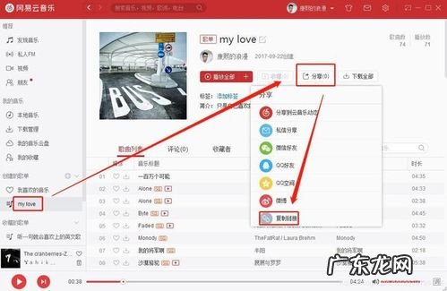 打开网页或播放器时出现未响应是怎么回事