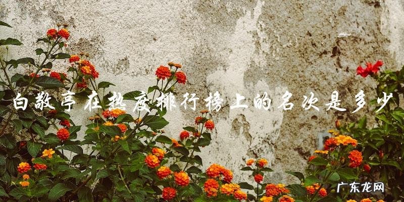 白敬亭热度排行榜,他的名字在榜单上是第几?