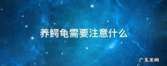 养小鳄龟要注意什么 养鳄龟需要注意什么