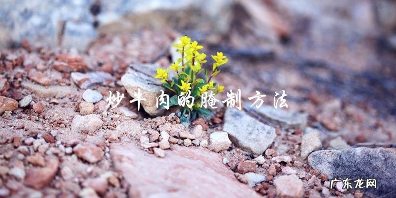 炒牛肉必备!掌握这些腌制方法,让你的菜肴更加美味!