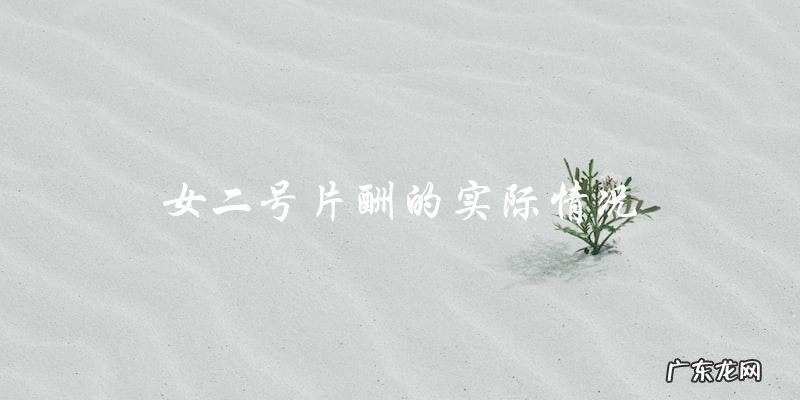 电视剧女二号片酬