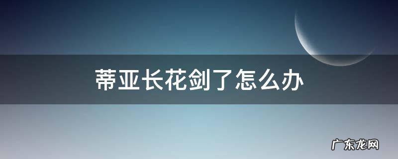 蒂亚长花剑了怎么办 蒂亚长花剑后多久开花