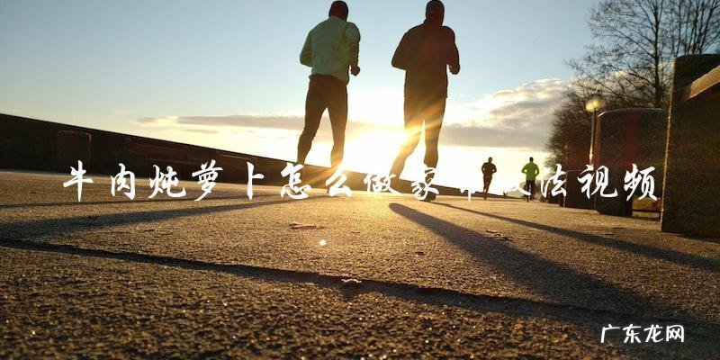 牛肉炖萝卜怎么做家常做法视频