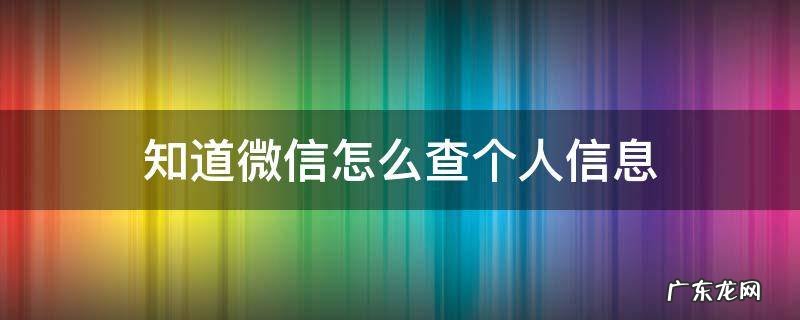 知道微信怎么查个人信息 微信怎么能查到个人信息
