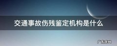 交通事故伤残鉴定机构是什么 交通事故伤残等级鉴定机构