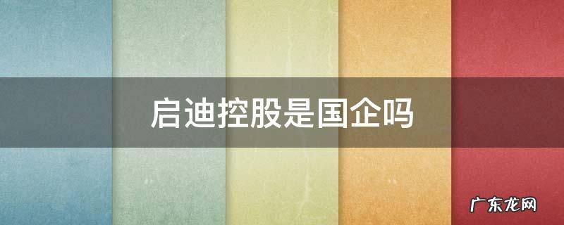 启迪控股是正式国企吗 启迪控股是国企吗