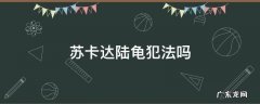 苏卡达陆龟犯法吗 卡苏达陆龟是保护动物吗